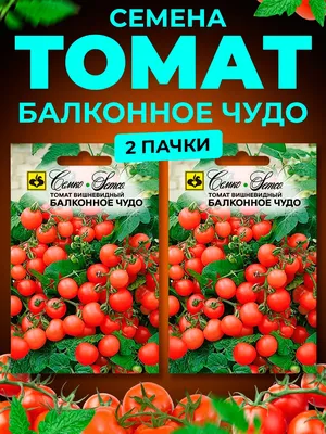 Семена Томат \"Балконное чудо\", ультраскороспелый, 20 шт (2746477) - Купить  по цене от 19.60 руб. | Интернет магазин SIMA-LAND.RU