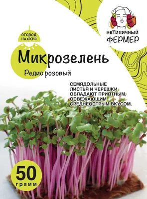 Как вырастить на балконе или подоконнике зелень и овощи | РБК-Україна