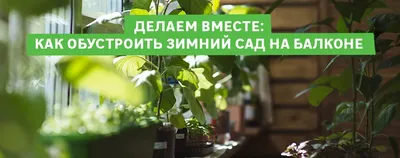 Сад из цветов на балконе.