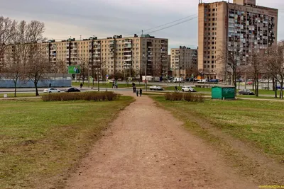 Плюсы и минусы квартиры в спальном районе