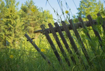 Старый винтажный металлический забор Stock Photo | Adobe Stock