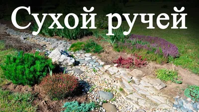 Ландшафтные форумы GARDENER.ru • Просмотр темы - Угол забора, сухой ручей