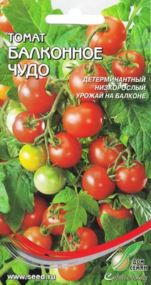 Разнообразные овощи, Томаты Дом семян Томат Балконное Чудо - купить по  выгодным ценам в интернет-магазине OZON (354172850)