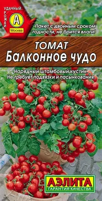 Семена помидоров Томат Балконное чудо 0.2 г (Семена Украины)  (4820069485800) – фото, отзывы, характеристики в интернет-магазине ROZETKA  | Купить в Украине: Киеве, Харькове, Днепре, Одессе, Запорожье, Львове