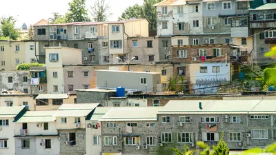 Жилые Гаражи В Сочи: последние новости на сегодня, самые свежие сведения |  sochi1.ru - новости Сочи